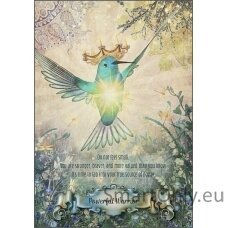 Hummingbird Wisdom Oracle kortos Schiffer Publishing