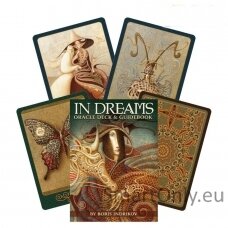 in-dreams-oracle-kortos-ir-knyga-us-games-systems