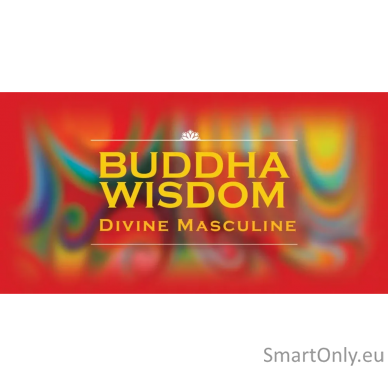 Inspirational Buddha Wisdom Divine Masculine kortos US Games Systems 10