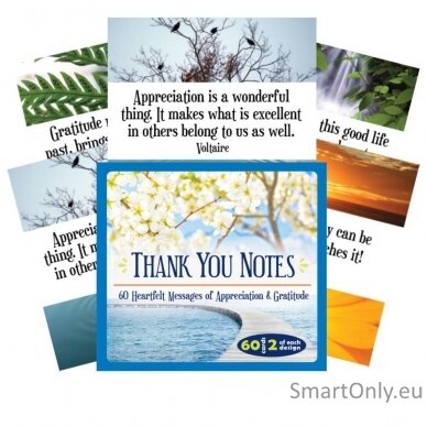 Inspirational Thank You Notes kortos US Games Systems