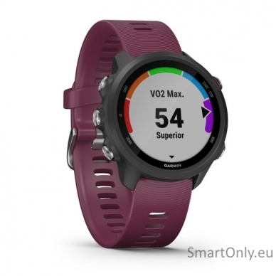 Išmanusis laikrodis Garmin Forerunner 245 Berry 2