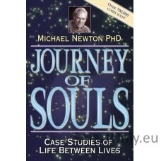 Journey of Souls knyga Llewellyn