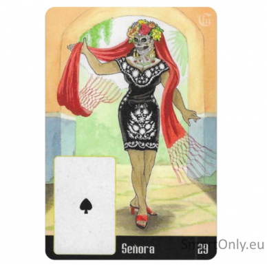 La Santa Muerte Lenormand Taro kortos Schiffer Publishing 5