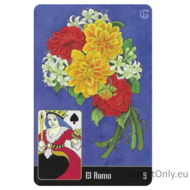 La Santa Muerte Lenormand Taro kortos Schiffer Publishing 7