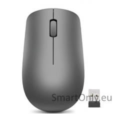 Lenovo Wireless Mouse 530 Wireless mouse 2.4 GHz Wireless via Nano USB 	Wireless Graphite