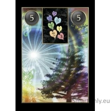 Lenormand Cartomancy kortos Schiffer Publishing 7