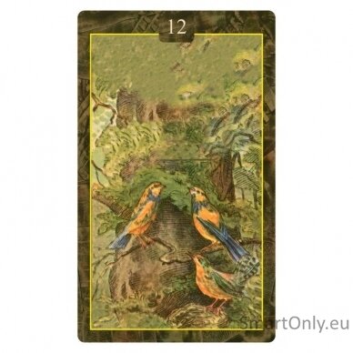 Lenormand Oracle Kortos Lo Scarabeo 1