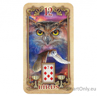 Lustrous Lenormand Oracle kortos Llewellyn 6