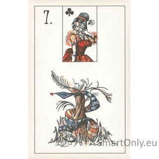 Maybe Lenormand kortos US Games Systems 4