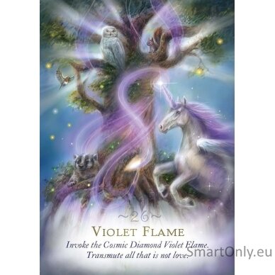 Magic of Unicorns Oracle kortos Hay House 3