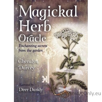 Magickal Herb Oracle kortos Rockpool 2