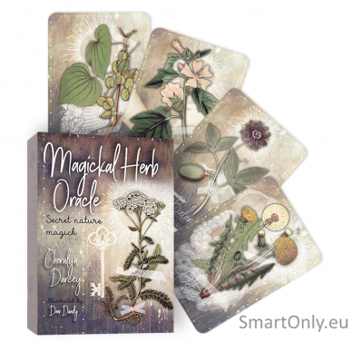 Magickal Herb Oracle kortos Rockpool