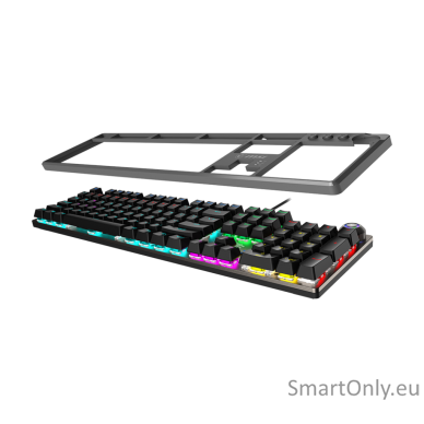 MSI FORGE GK310 | Gaming keyboard | Wired | US | Red Switches 3