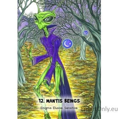 Mystic Martian Oracle kortos Rockpool 6