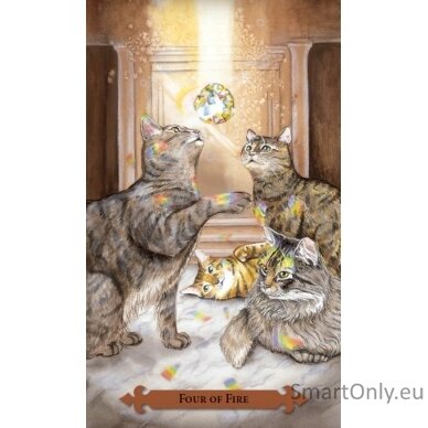 Mystical Cats Tarot kortos Llewellyn 2