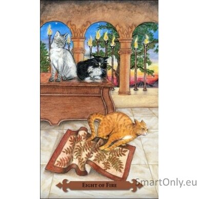 Mystical Cats Tarot kortos Llewellyn 3