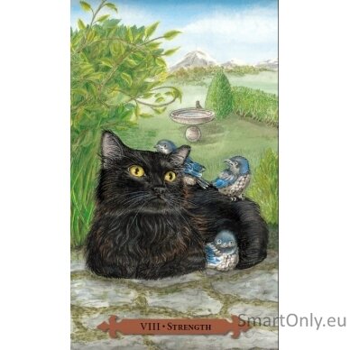 Mystical Cats Tarot kortos Llewellyn 5