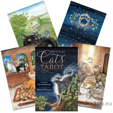 Mystical Cats Tarot kortos Llewellyn