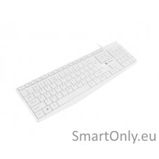 Natec Keyboard Nautilus NKL-1951 Keyboard Wired Multimedia keys; Low profile keyboard US 390 g USB Type-A White