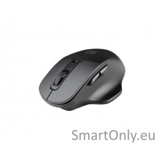 Natec Mouse, BlackBird 2, Silent, Wireless, 1600 DPI, Optical, Black Natec Mouse Black/Gray Wireless