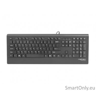 Natec Keyboard, Barracuda, US Layout, Slim Natec Keyboard Barracuda Standard Wired US 529 g Black 1