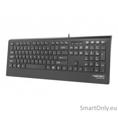 Natec Keyboard, Barracuda, US Layout, Slim Natec Keyboard Barracuda Standard Wired US 529 g Black 6