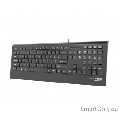 Natec Keyboard, Barracuda, US Layout, Slim Natec Keyboard Barracuda Standard Wired US 529 g Black