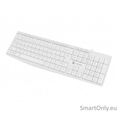 Natec Keyboard Nautilus NKL-1951 Keyboard Wired Multimedia keys; Low profile keyboard US 390 g USB Type-A White 3