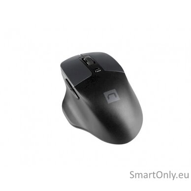 Natec Mouse, BlackBird 2, Silent, Wireless, 1600 DPI, Optical, Black Natec Mouse Black/Gray Wireless 2