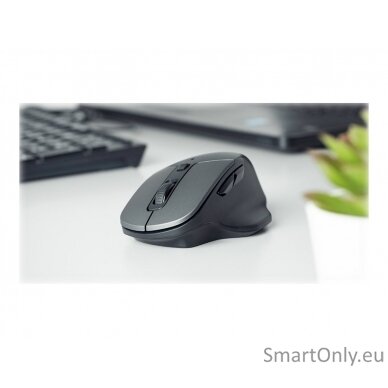 Natec Mouse, BlackBird 2, Silent, Wireless, 1600 DPI, Optical, Black Natec Mouse Black/Gray Wireless 11