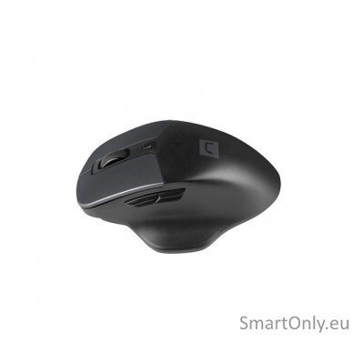 Natec Mouse, BlackBird 2, Silent, Wireless, 1600 DPI, Optical, Black Natec Mouse Black/Gray Wireless 3