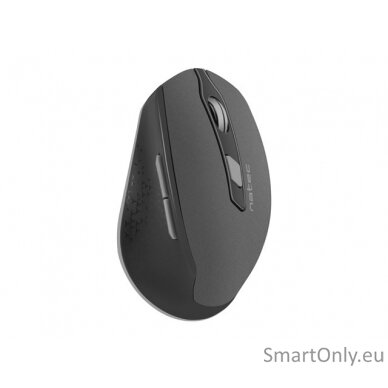 Natec Mouse, Siskin, Silent, Wireless, 2400 DPI, Optical, Black-Grey Natec Mouse Black/Grey Wireless 2