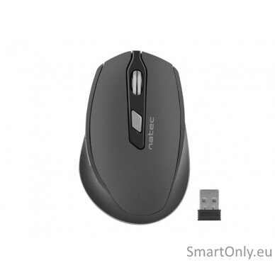 Natec Mouse, Siskin, Silent, Wireless, 2400 DPI, Optical, Black-Grey Natec Mouse Black/Grey Wireless