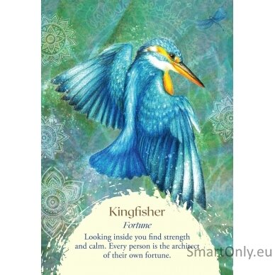 Oracle of the Birds kortos Findhorn Press 4