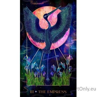 Oriens Animal tarot Taro kortos Rockpool 4