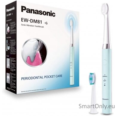 Panasonic Electric Toothbrush EW-DM81-G503 Rechargeable, For adults, Number of brush heads included 2, Number of teeth brushing modes 2, Sonic technology, White/Mint