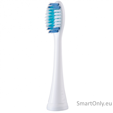 Panasonic Sonic Electric Toothbrush EW-DC12-W503 Rechargeable, For adults, Number of brush heads included 1, Number of teeth brushing modes 3, Sonic technology, Golden White 2