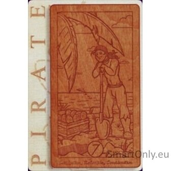 Pirate Tarot Kortos Schiffer Publishing 8