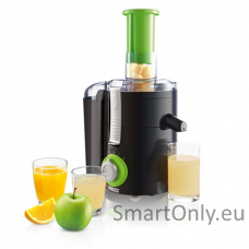 Princess | Juice Extractor | 202040 | Type Juicer maker | Black/Green | 250 W | Number of speeds 2