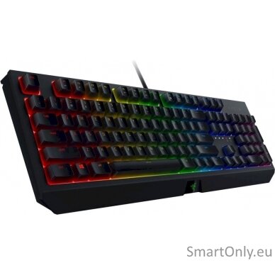 Razer BlackWidow V3 Gaming keyboard RGB LED light NORD Wired 1