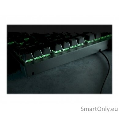 Razer BlackWidow V3 Gaming keyboard RGB LED light US Wired 9