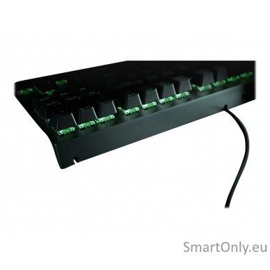 Razer BlackWidow V3  Yellow Switch; Transparent switch housing; Doubleshot ABS keycaps; Multi-function digital roller; Razer Synapse 3 enabled; Cable routing options; N-key roll-over; Fully programmable keys with on-the-fly macro recording; Gaming mode op 5