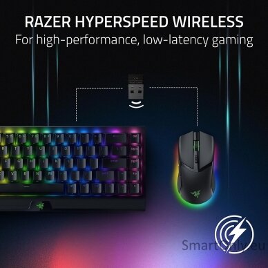 Razer Cobra Pro  	Wireless Black Wireless (2.4GHz and Bluetooth) 5