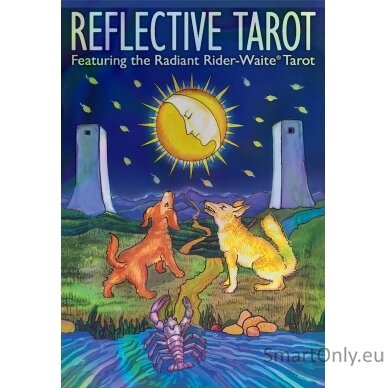 Reflective Tarot kortos US Games Systems (maža versija) 10