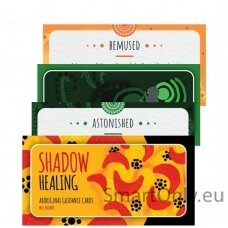 shadow-healing-aboriginal-guidance-kortos-rockpool