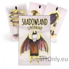 shadowland-lenormand-cards-taro-kortos-schiffer-publishing