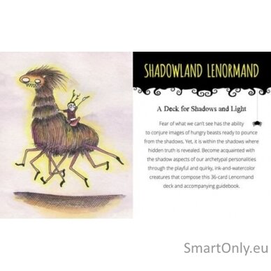 Shadowland Lenormand cards taro kortos Schiffer Publishing 2