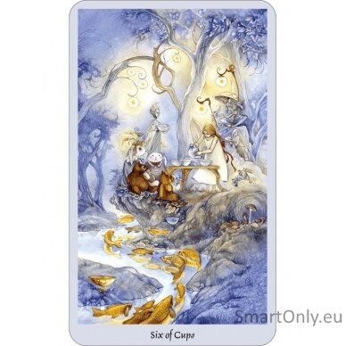 Shadowscapes Taro kortos ir knyga (rinkinys) Llewellyn 4