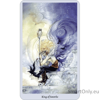 Shadowscapes Taro kortos ir knyga (rinkinys) Llewellyn 1