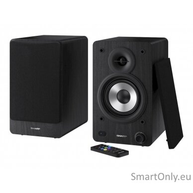 Sharp CP-SS30 Bookshelf Speakers, Black 13